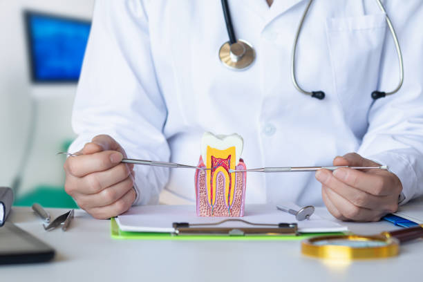 Best Emergency Root Canal Treatment in Red Bank, NJ